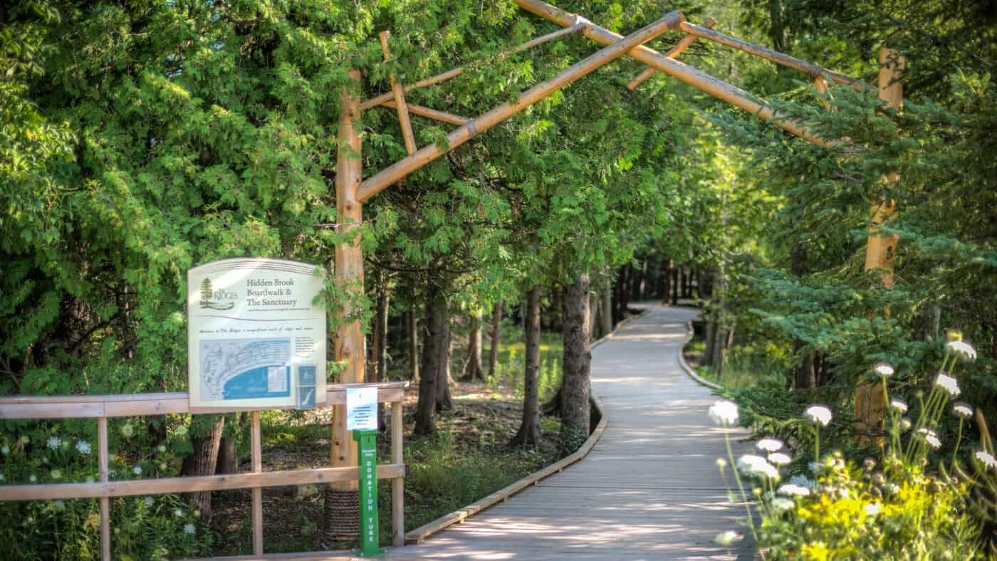 The Ridges Sanctuary - Center for Environmental Stewardship Hidden Brook Boardwalk and Sanctuary with Trees and Native Plants